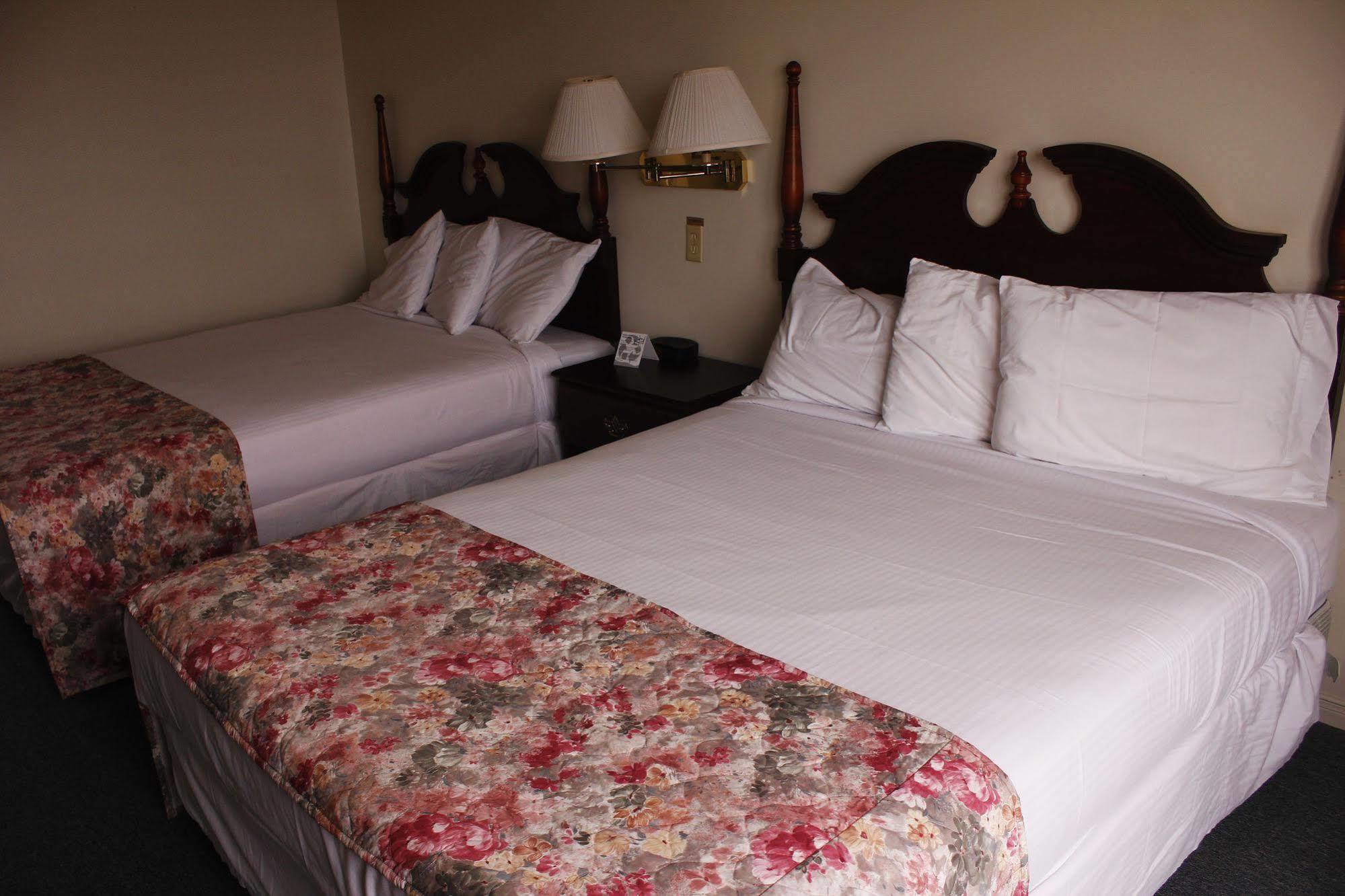 Brier Island Lodge Westport Exteriör bild