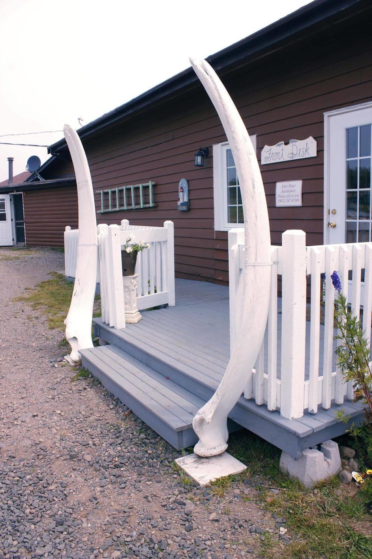 Brier Island Lodge Westport Exteriör bild